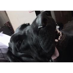 13534381_1799672676930733_1572573512_n